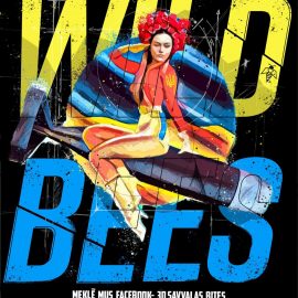 Welcome to wild bees!